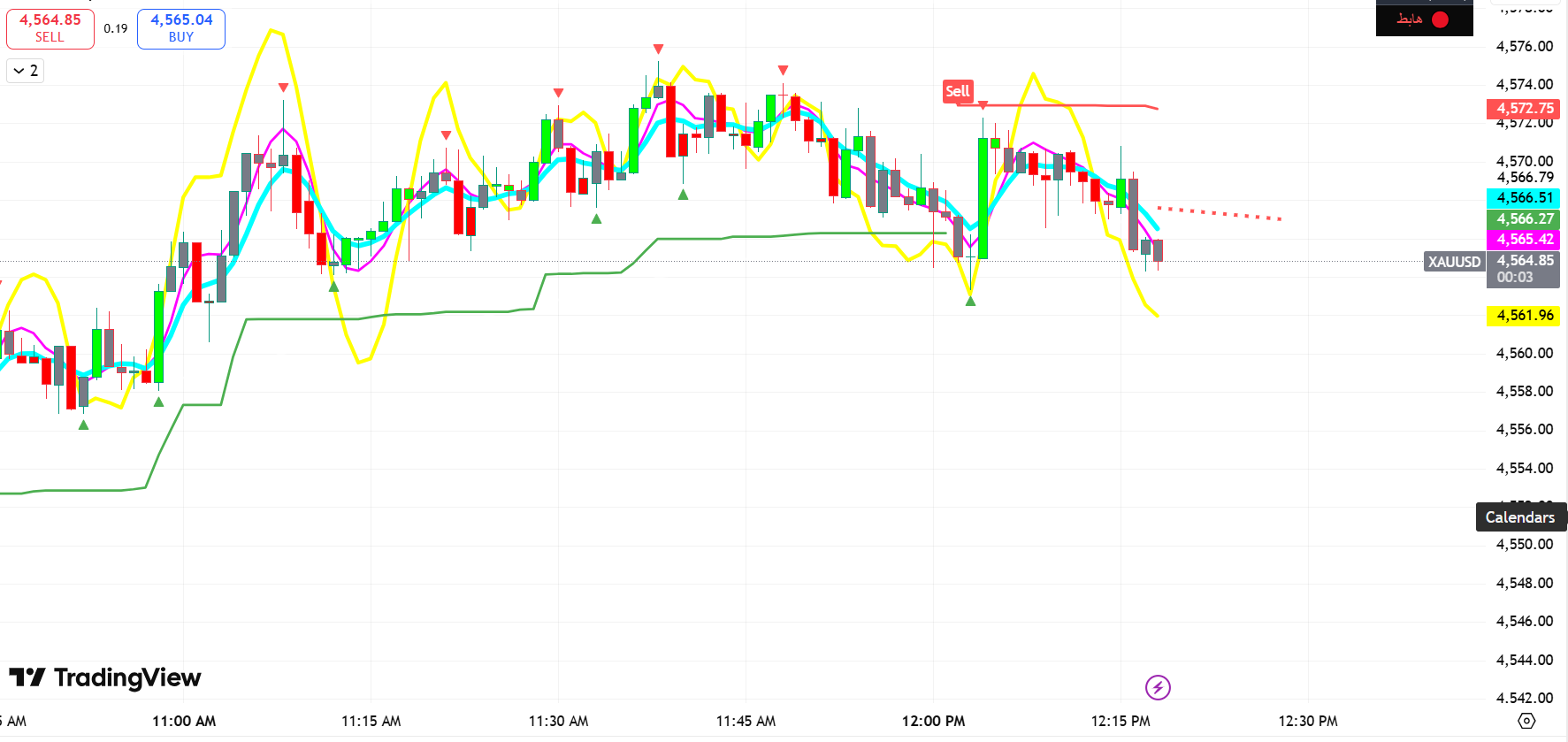 Pine Script Custom Indicators & Strategy - Almasasoft Project